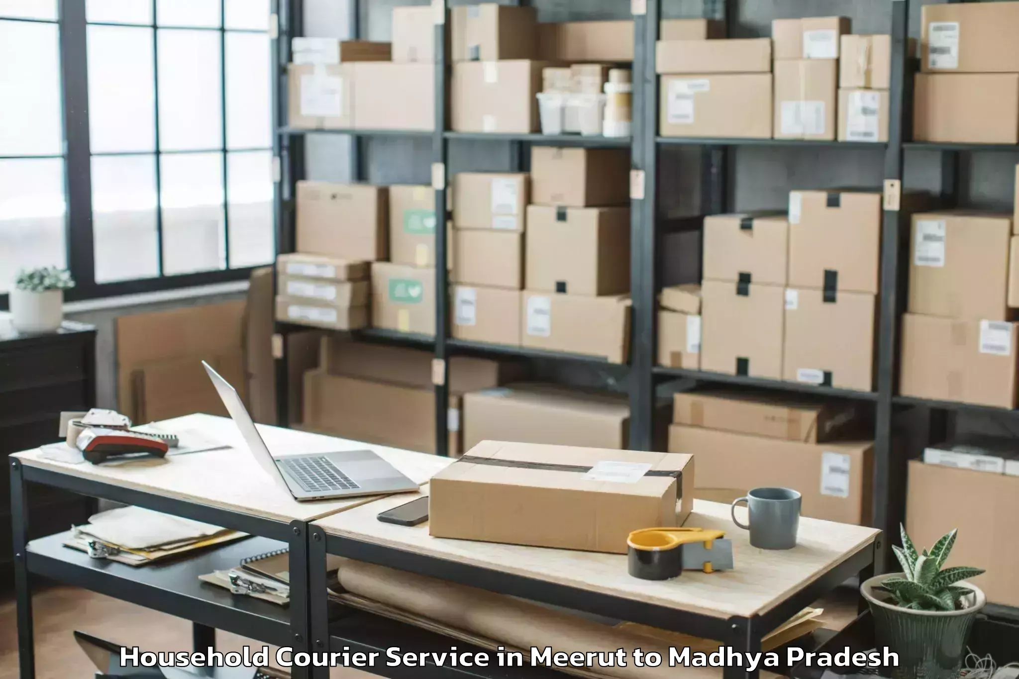 Professional Meerut to Madwas Household Courier